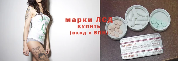 прущие грибы Заволжск