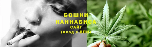 прущие грибы Заволжск