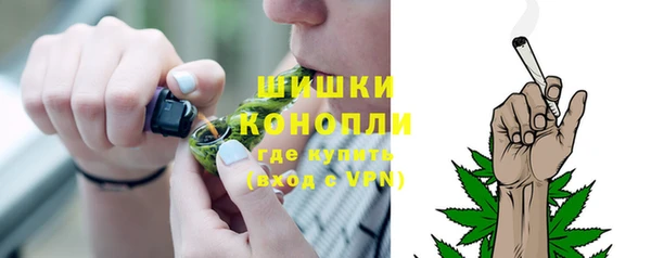 прущие грибы Заволжск