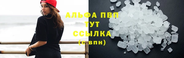 прущие грибы Заволжск