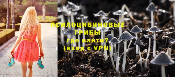 хмурый Заводоуковск