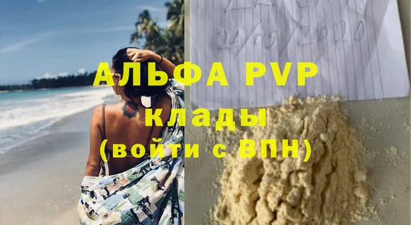 прущие грибы Заволжск