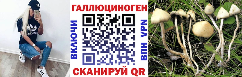 Купить где  Завитинск  Псилоцибиновые грибы GOLDEN TEACHER 